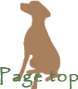 ページトップ